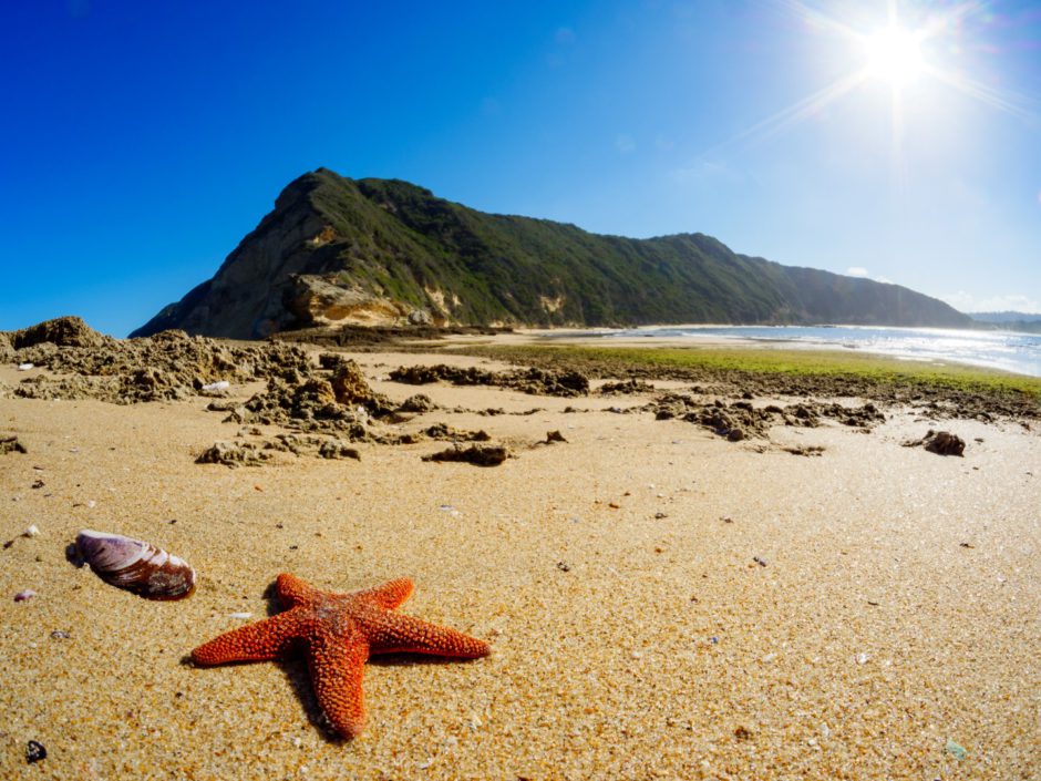 Gericke's Point bei Sedgefield - einer der romantischsten Orte an der Garden Route