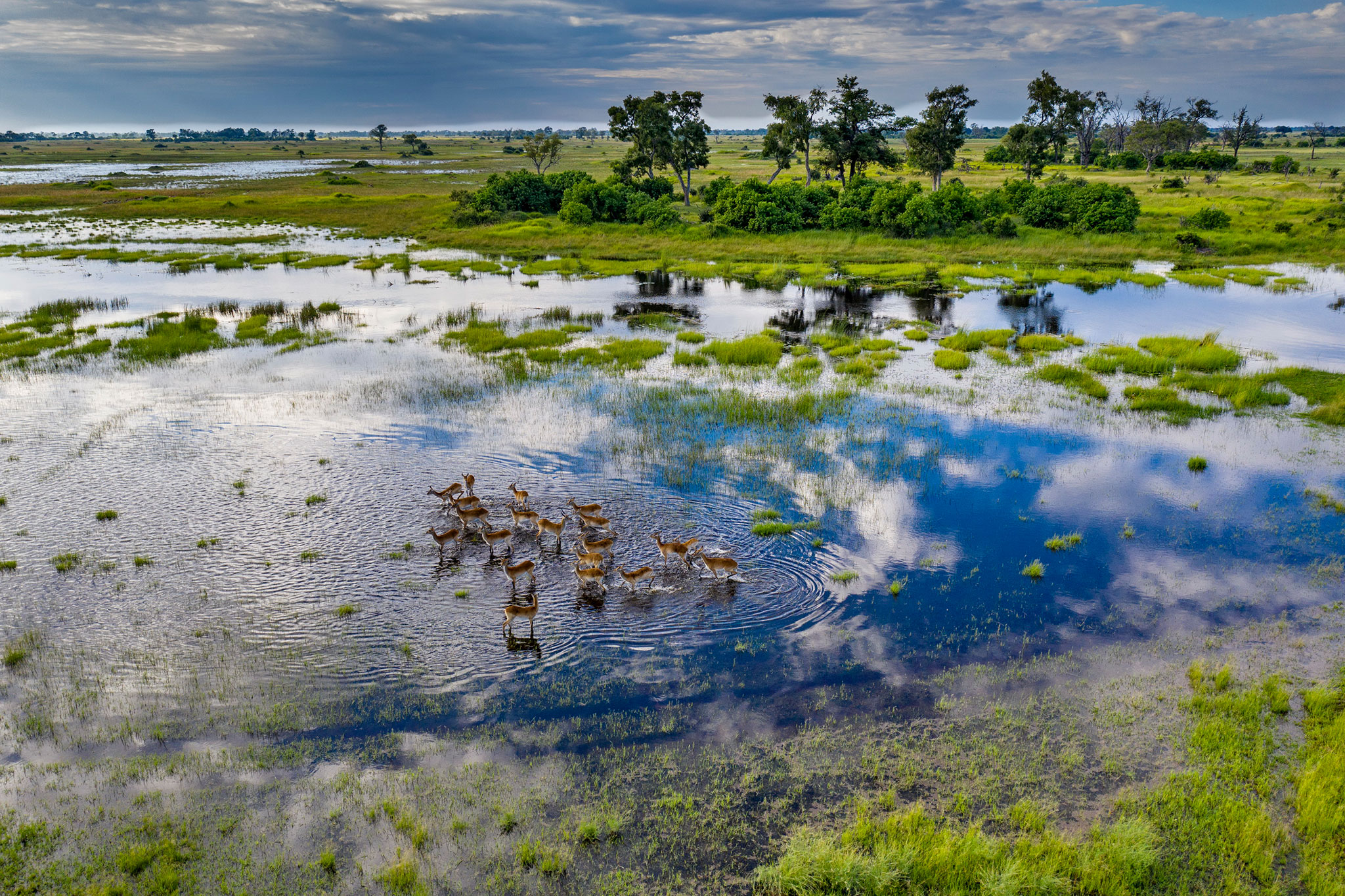 Birds eye view of the Okavango Delta - Botswana in pictures