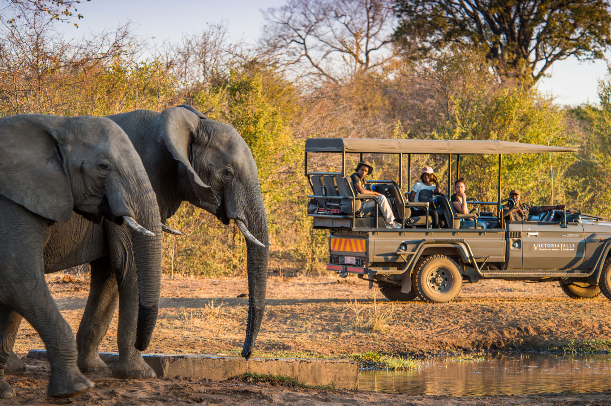 Spot elephants on a game drive