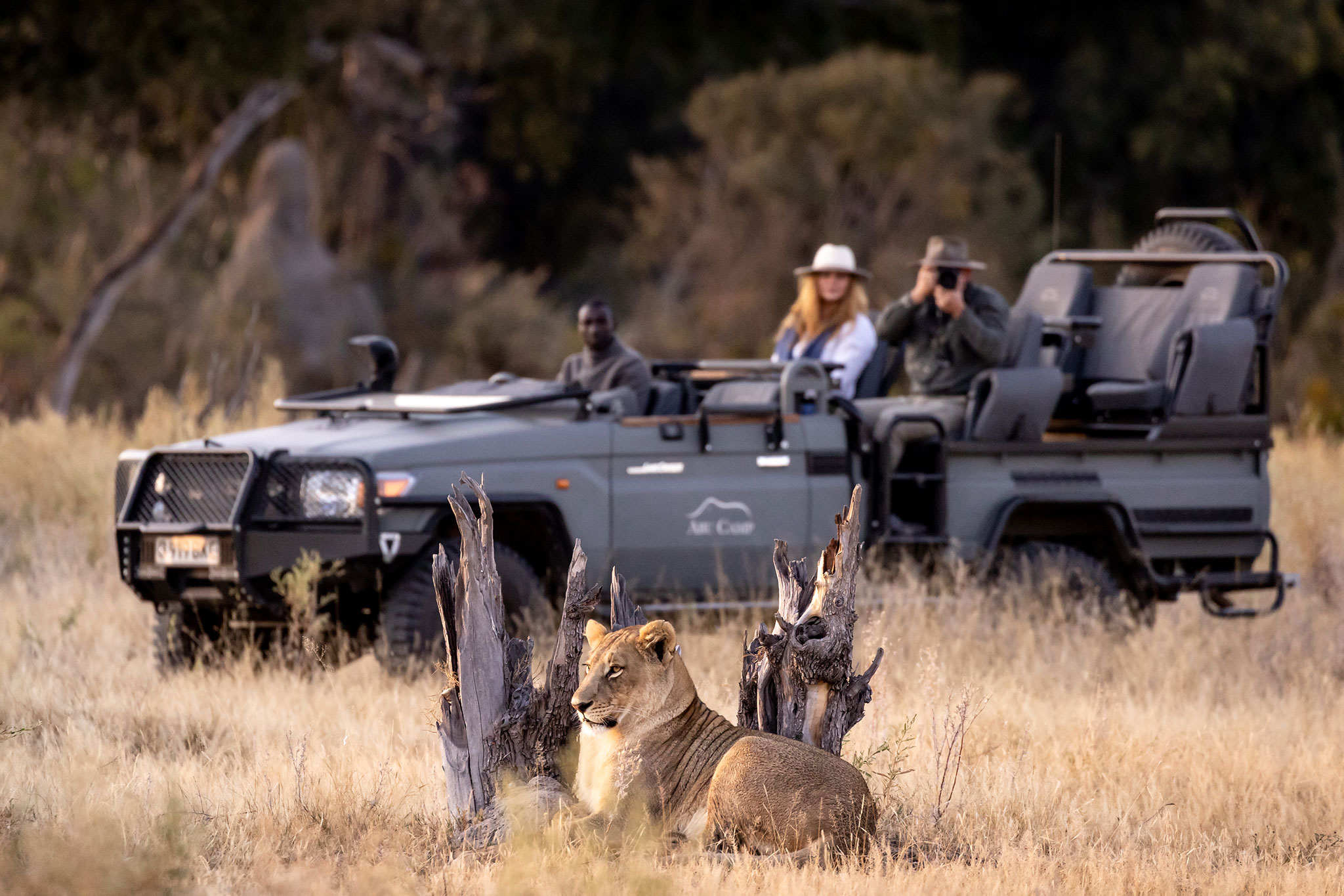 Game drives in the Okavango Delta