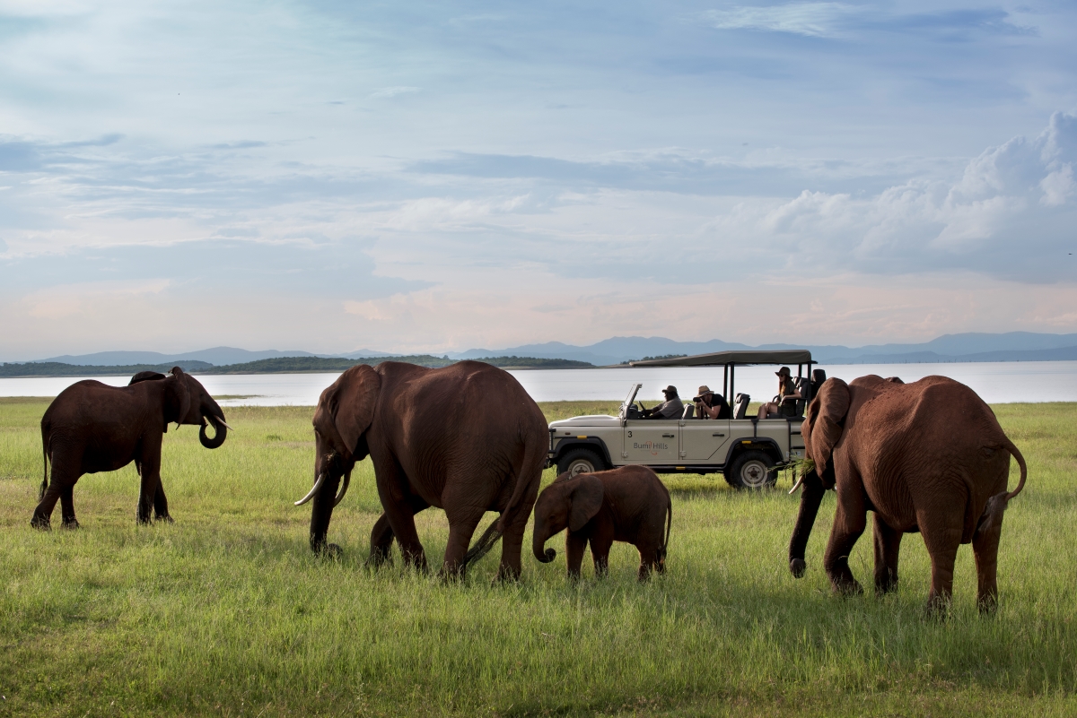 Game drive along Lake Kariba