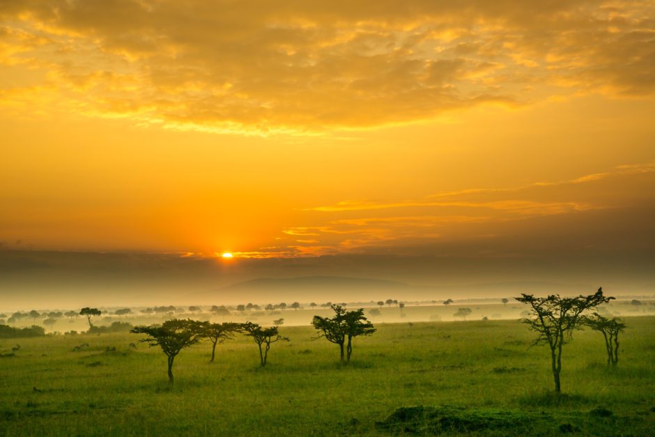 Die Masai Mara in Kenia bei Sonnenuntergang ist ein tolles Reiseziel für eine Safari mit der ganzen Familie