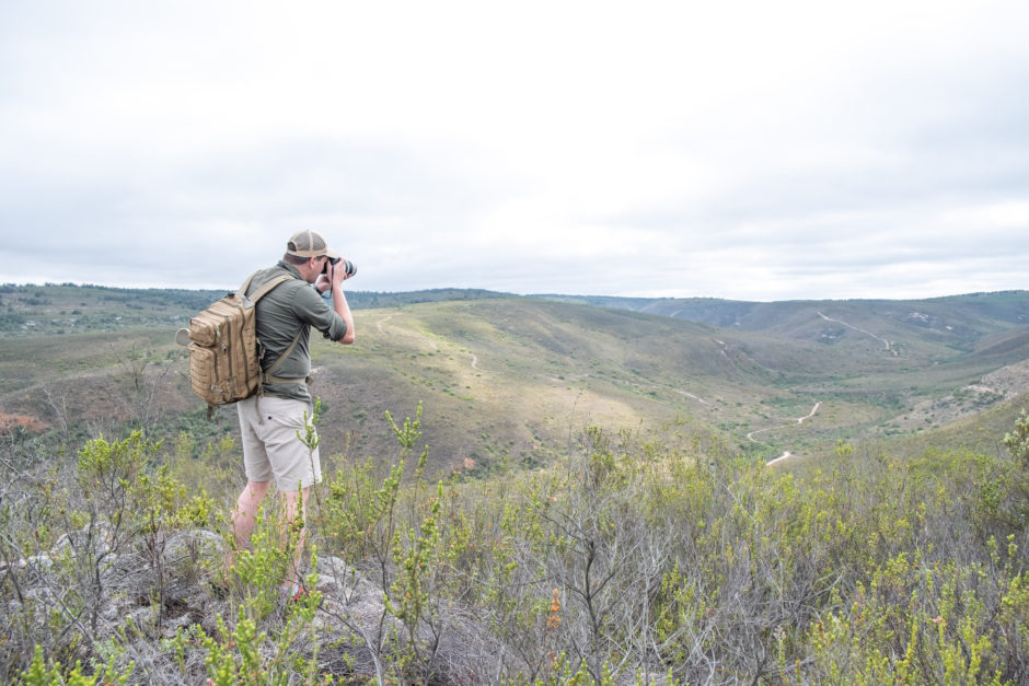 Safari im Gondwana Reservat an der Garden Route