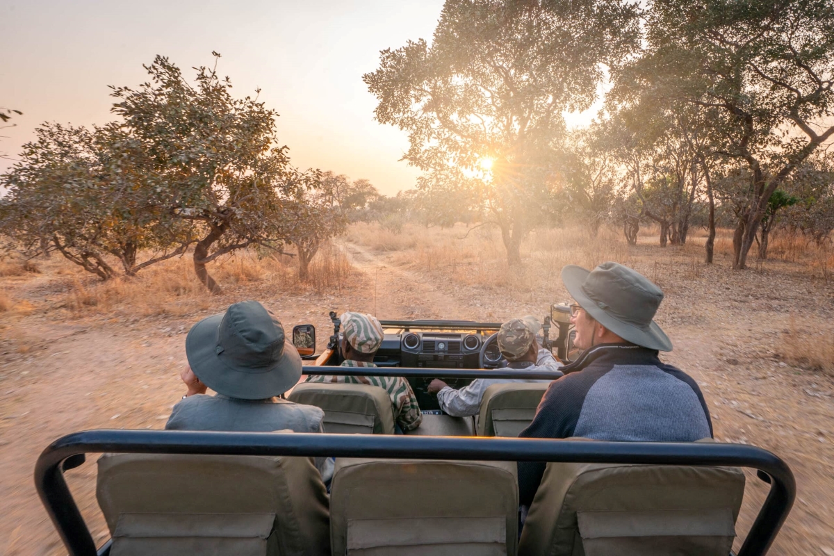 Game Drive in South Luangwa National Park