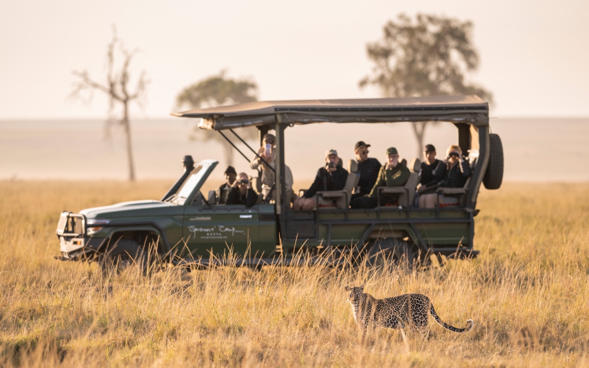 Spotting a leopard while on a game drive