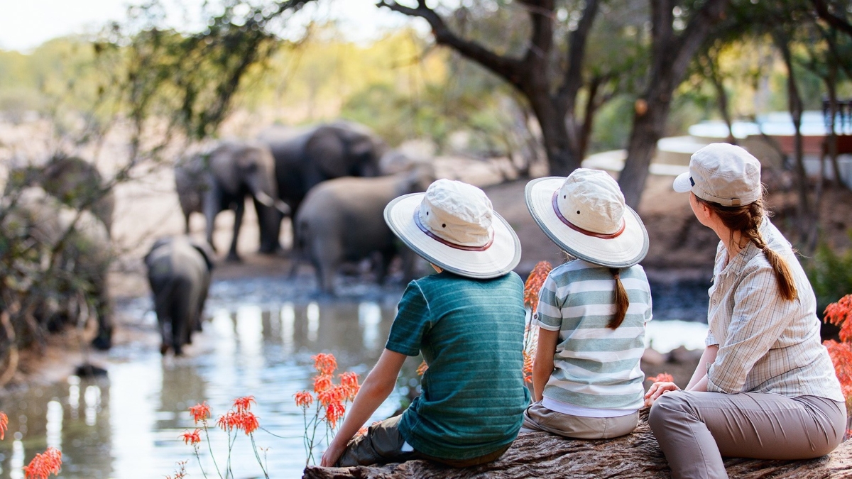 Wilderness Playground: un safari familiar en África y qué esperar