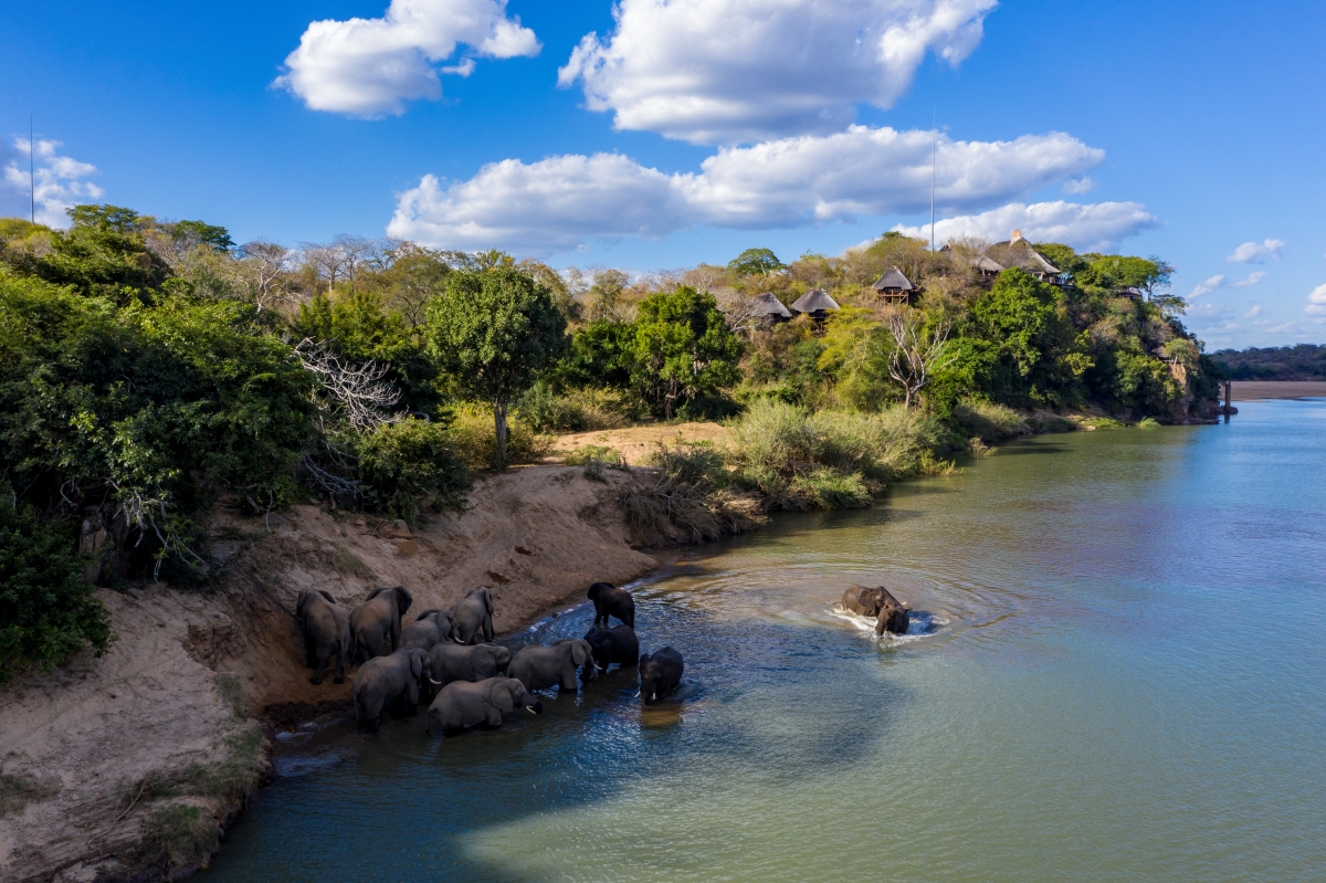 Elephants in the river close to Chilo Gorge Safari Lodge