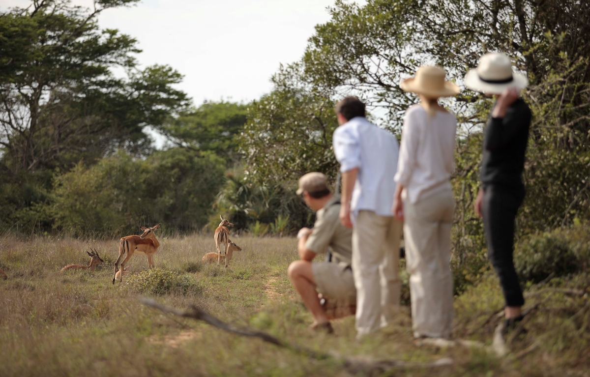 People observing wildlife on a nature walk