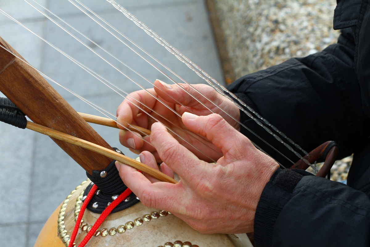 Hands plucking at the strings of a Kora, King Charles III is interested in African music instruments