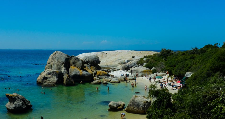 Spend your day basking in the African sun, having a picnic or swimming in the waves alongside Cape Town's penguins