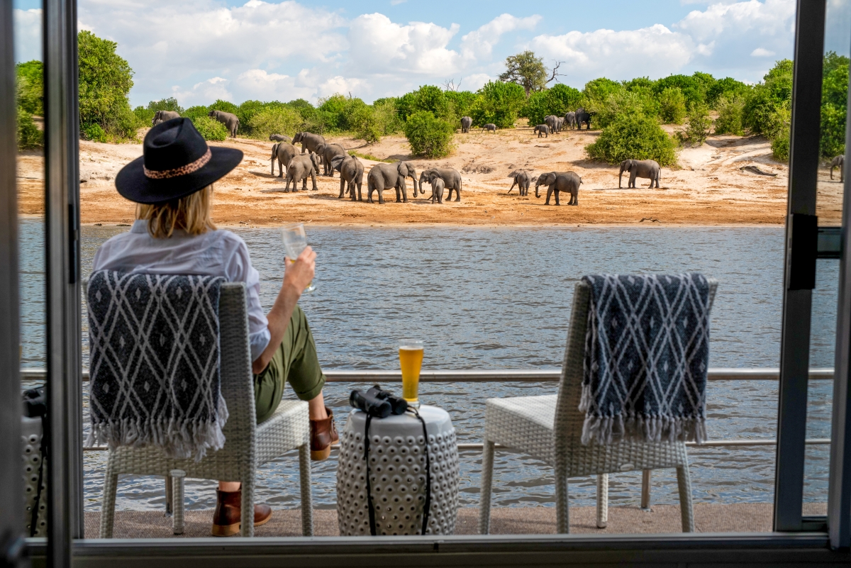 Riverbank view of elephants from a houseboat