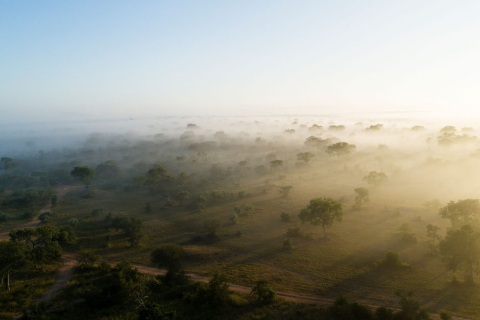 Sabi Sand es uno de los principales destinos de safari de África