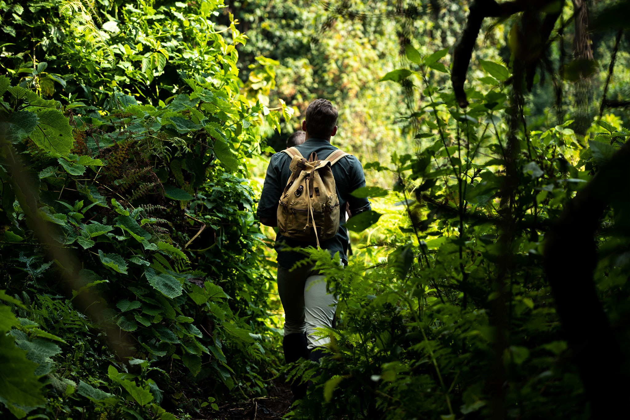 Venturing into the Virunga Mountains.