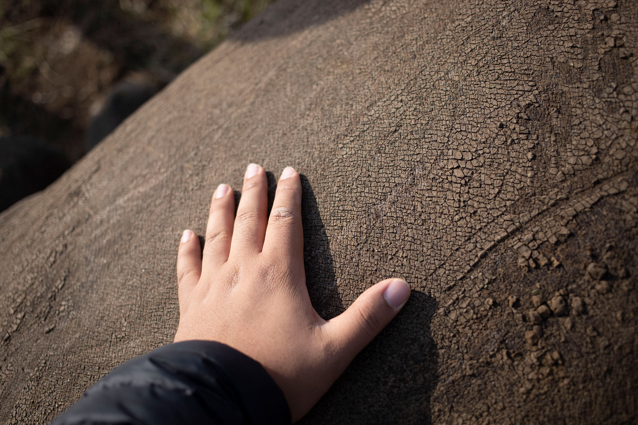 Our wildlife sometimes need a helping human hand.