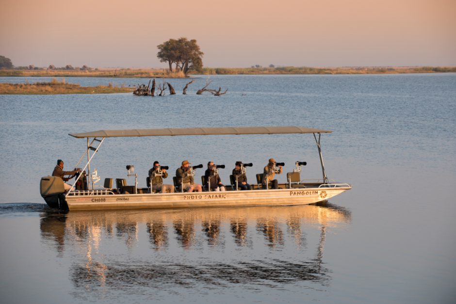 Halten Sie bei einer Fotosafari mit Pangolin Photo Safaris unvergessliche Momente für die Ewigkeit fest