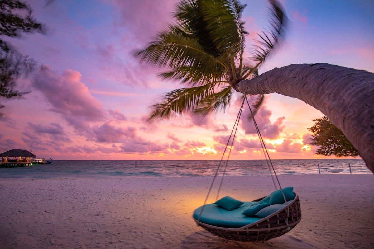 Beach at sunset with hammock and palm tree