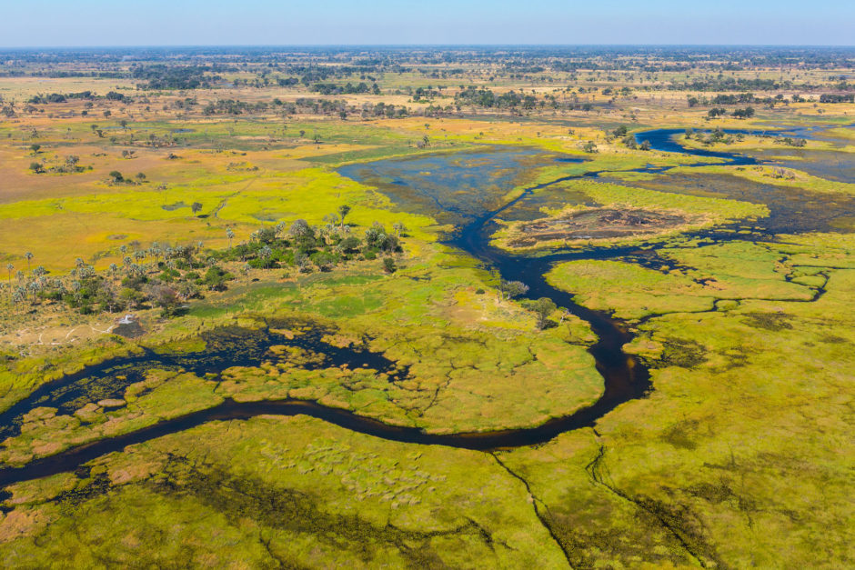 Una de nuestras vistas favoritas es ver el Delta del Okavango desde la perspectiva de un pájaro