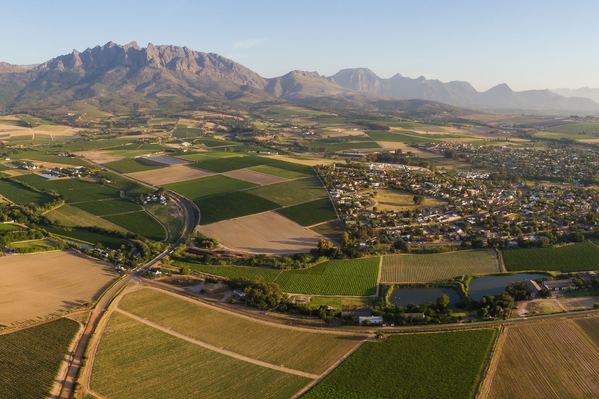 Scenic photo over vineyards in the Cape Winelands