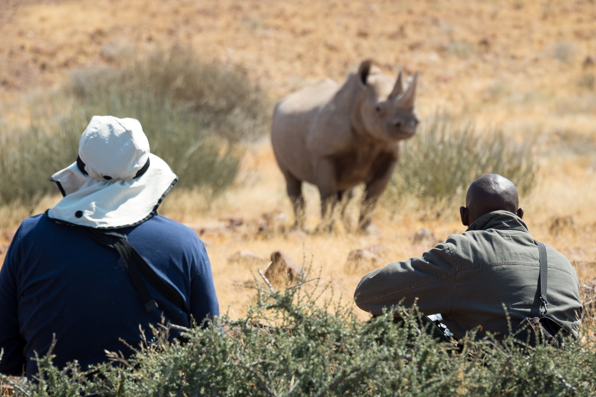 Guest and game ranger quietly observing a rhino