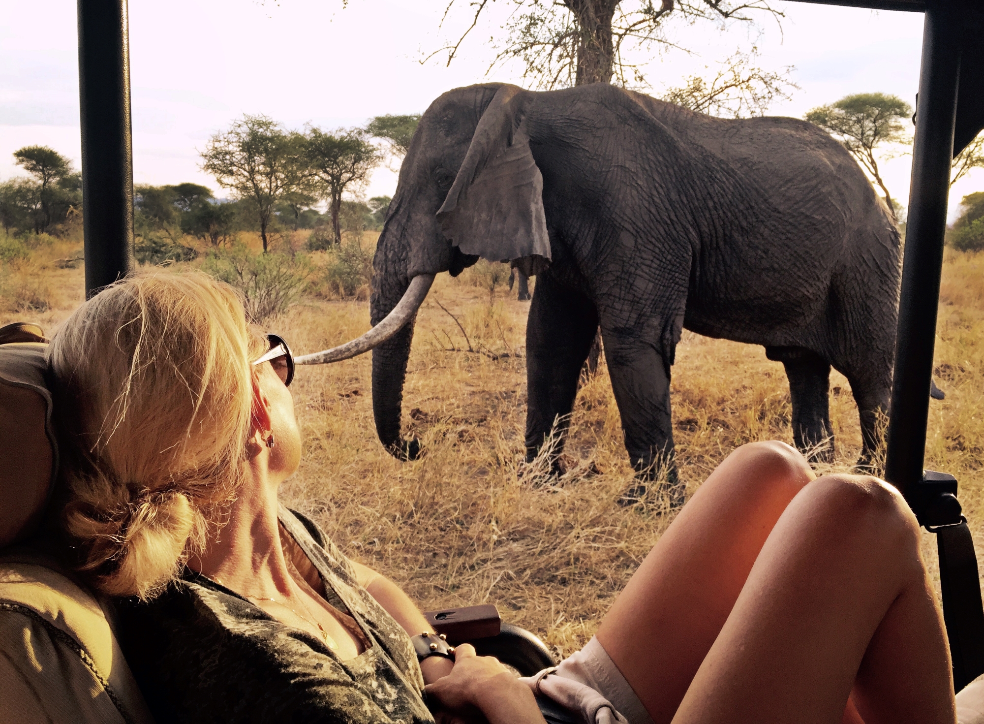 Elephant sighting while on a game drive