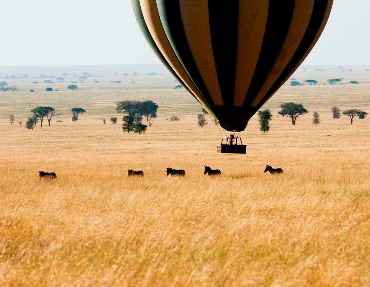 Hot air balloon safari floating above zebra