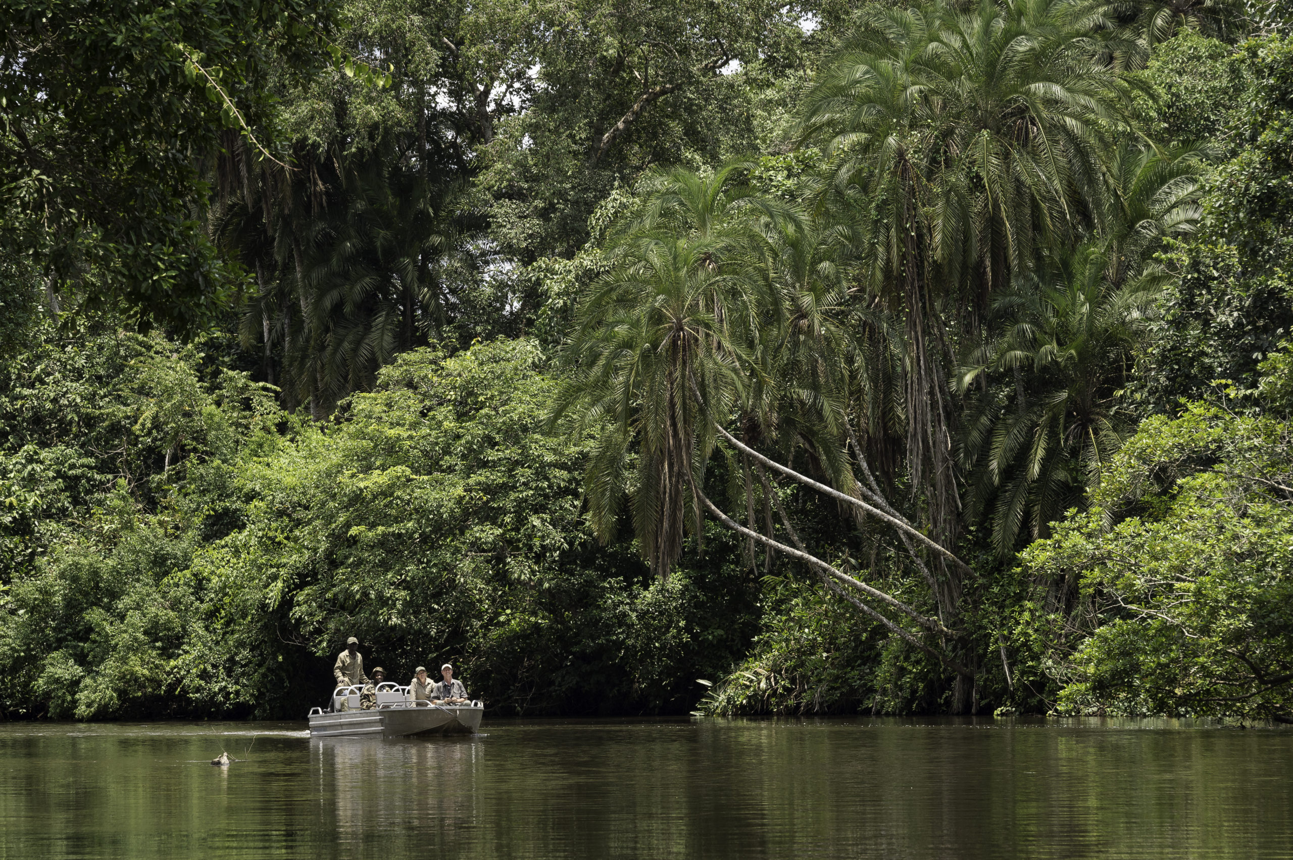 River and forest landscape of Odzala Kokoua National Park