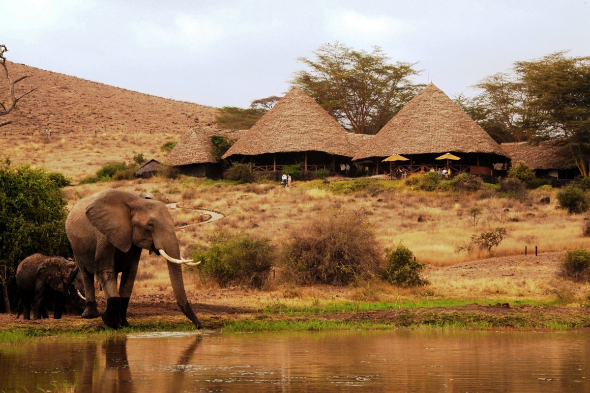 Waterhole and elephant with Tortilis Camp in the background