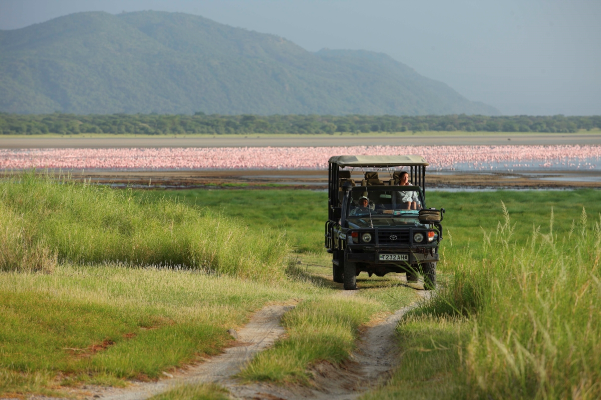 Game drive vehicle with flamingo saturated Lake Manyara in the background 