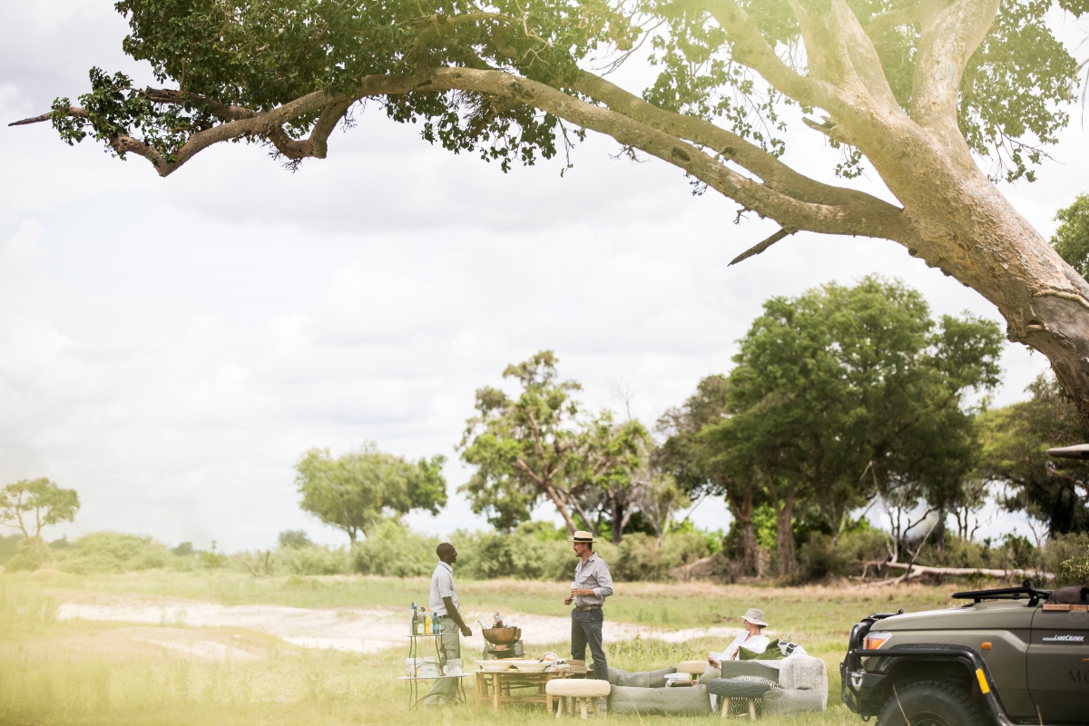 Picnic in the wilderness