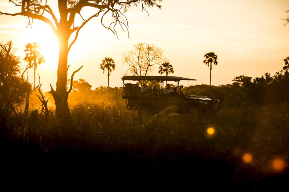 Chief's Island in the Okavango Delta