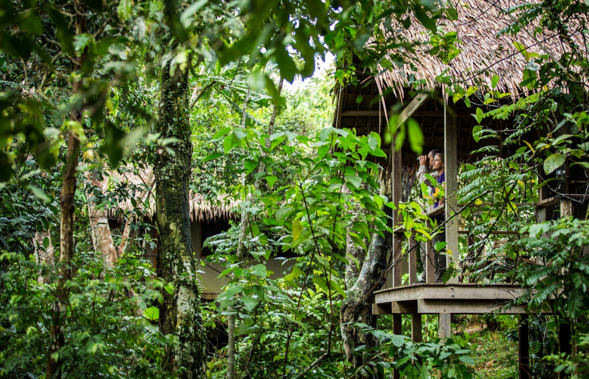 Viewing deck of Mboko Camp nestled in the forest