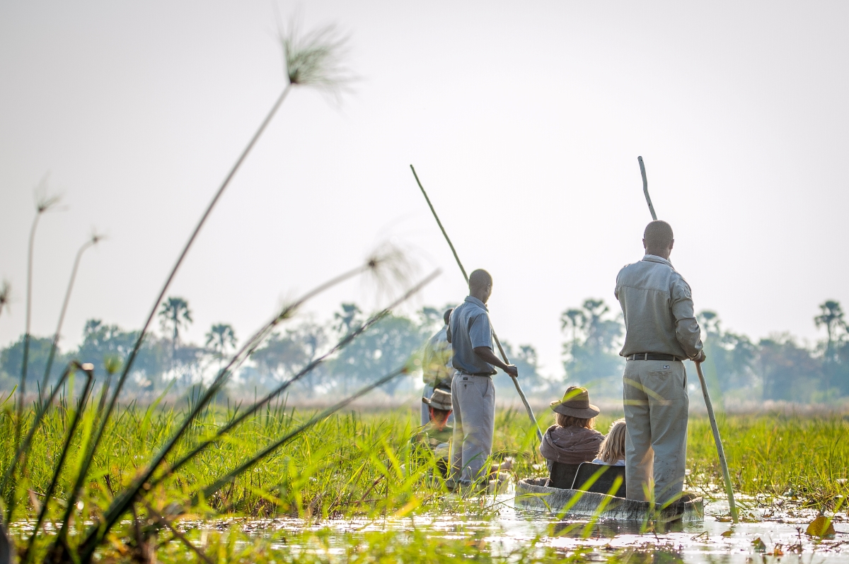 Mokoro safari along the shallow waterways 