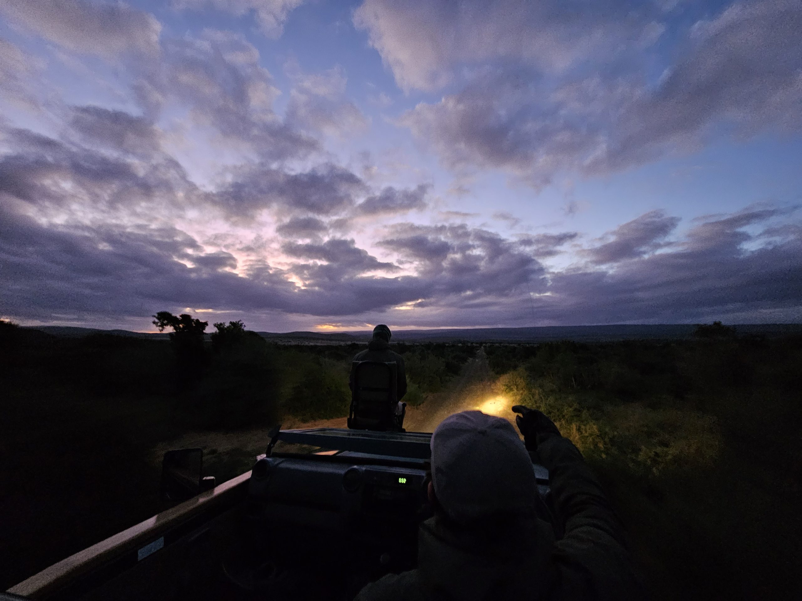 Night drive at Kwandwe Private Game Reserve