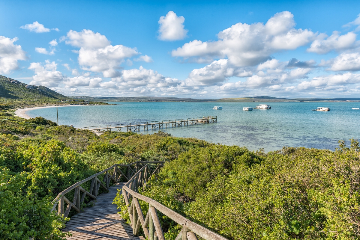 Boardwalk to Kraalbaai at the Langebaan Lagoon