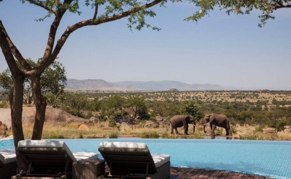 Four Seasons Safari Lodge