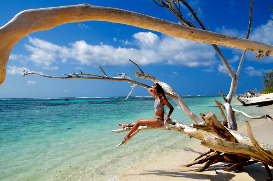 A woman sitting on a tree branch overlooking the ocean in Seychelles