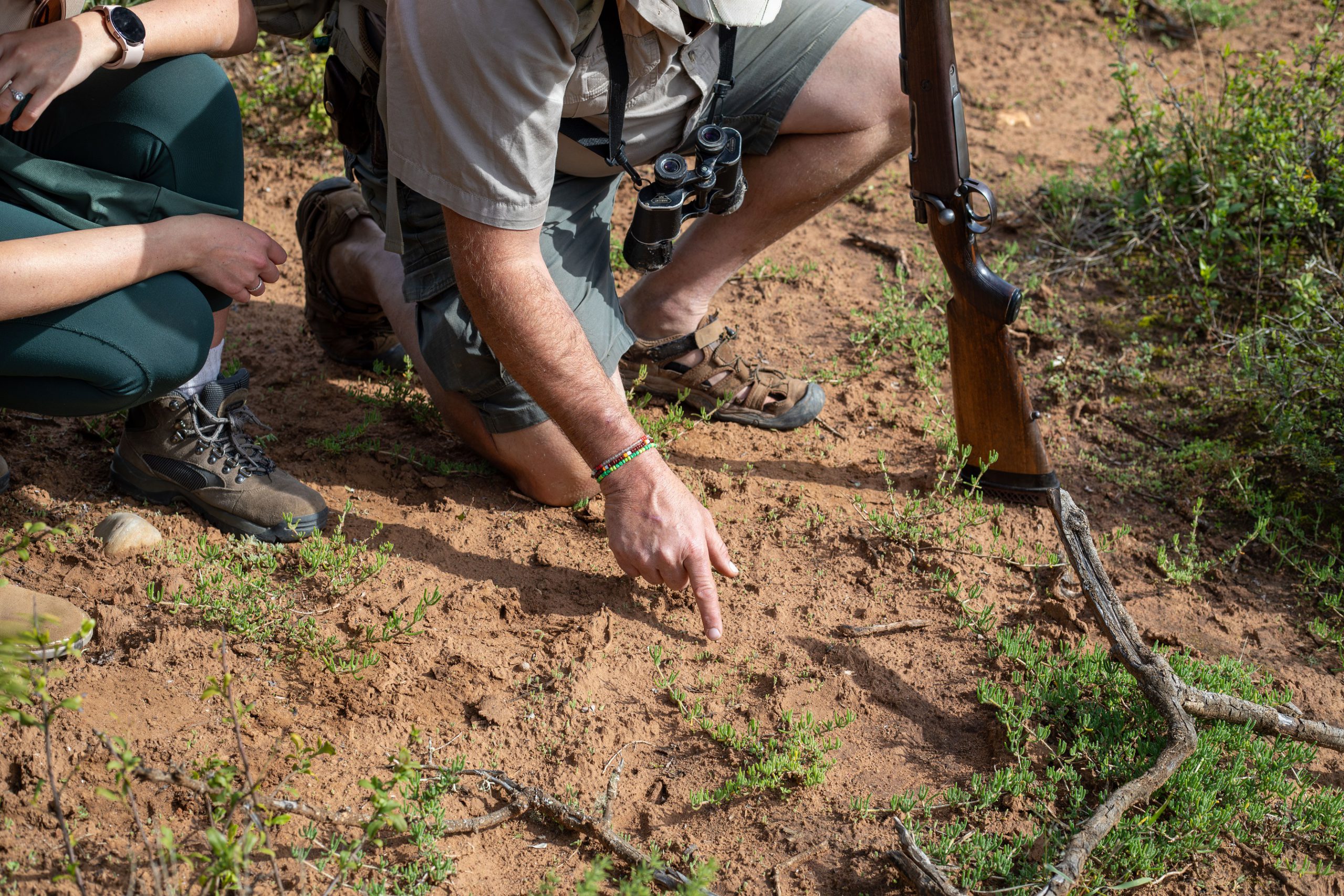 Bush walk at Hlosi Amakhala Lodge 