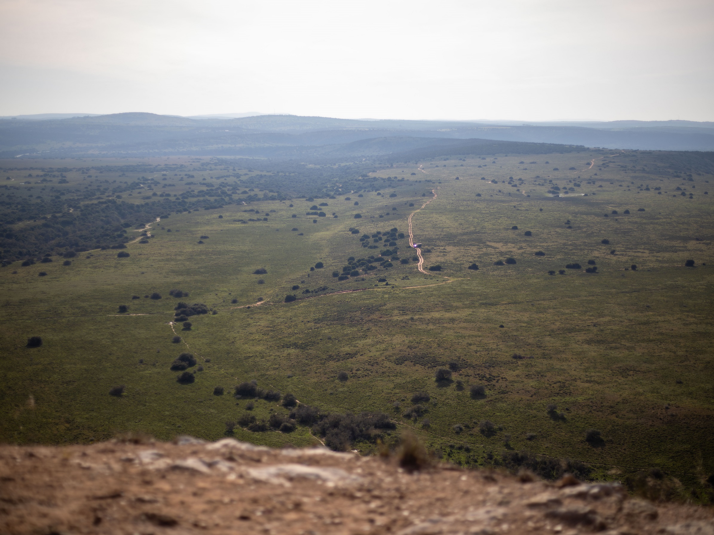 View from "God's Window" lookout point in Amakhala Private Game Reserve