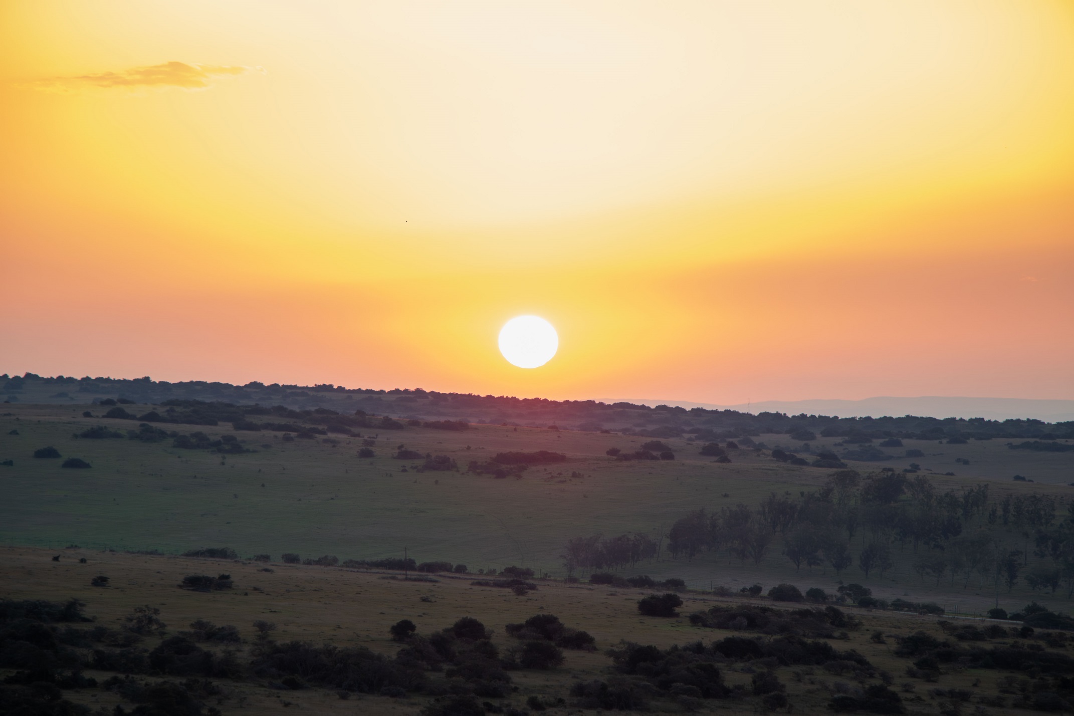 Sunset on safari at Amakhala Private Game Reserve