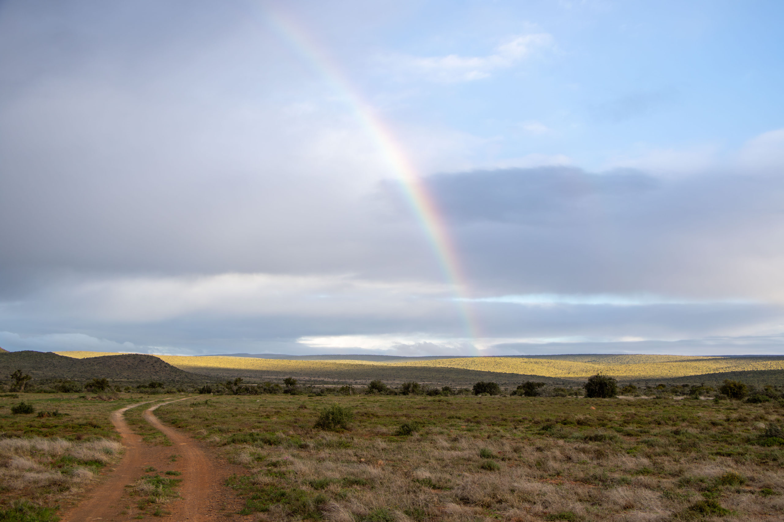 Rainbow over Kwandwe Private Game Reserve