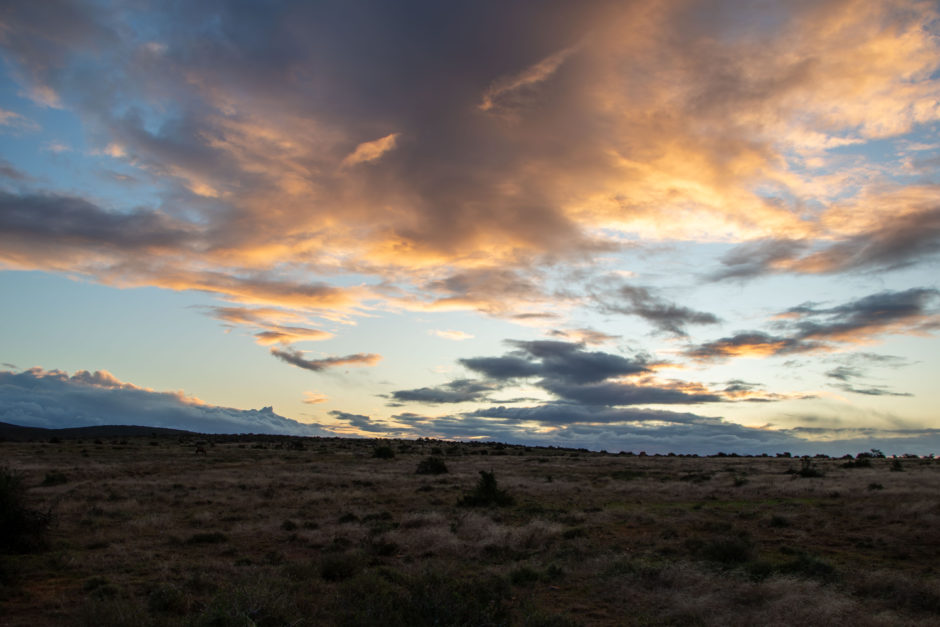 Sonnenaufgang im Kwandwe Private Game Reserve