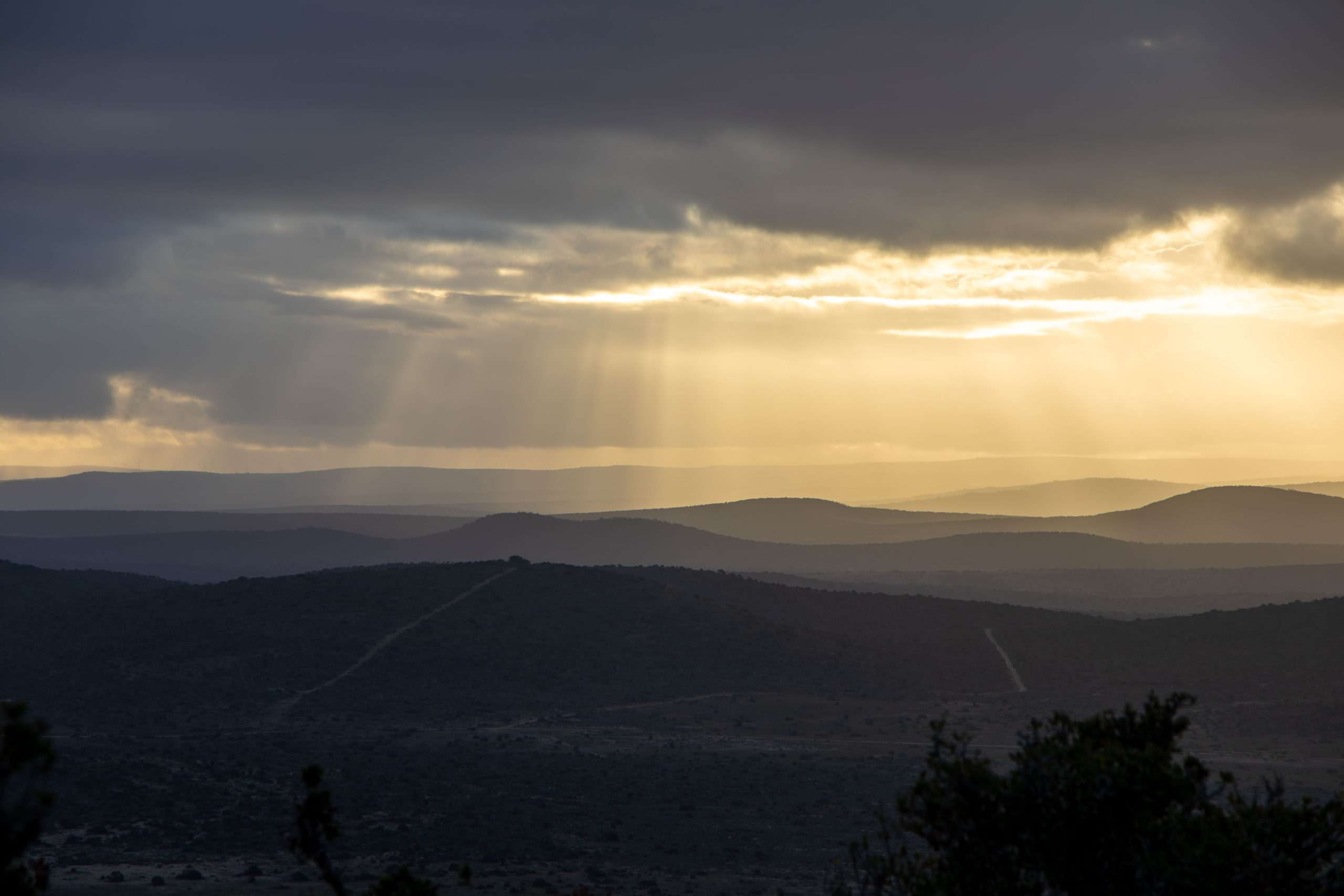 Sunlight steaming down at Kwandwe Private Game Reserve