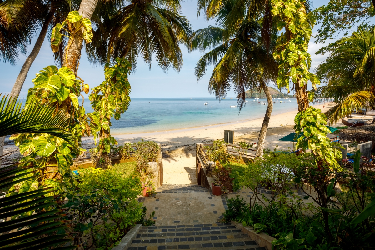 palm tree fringed path leading to an idyllic beach