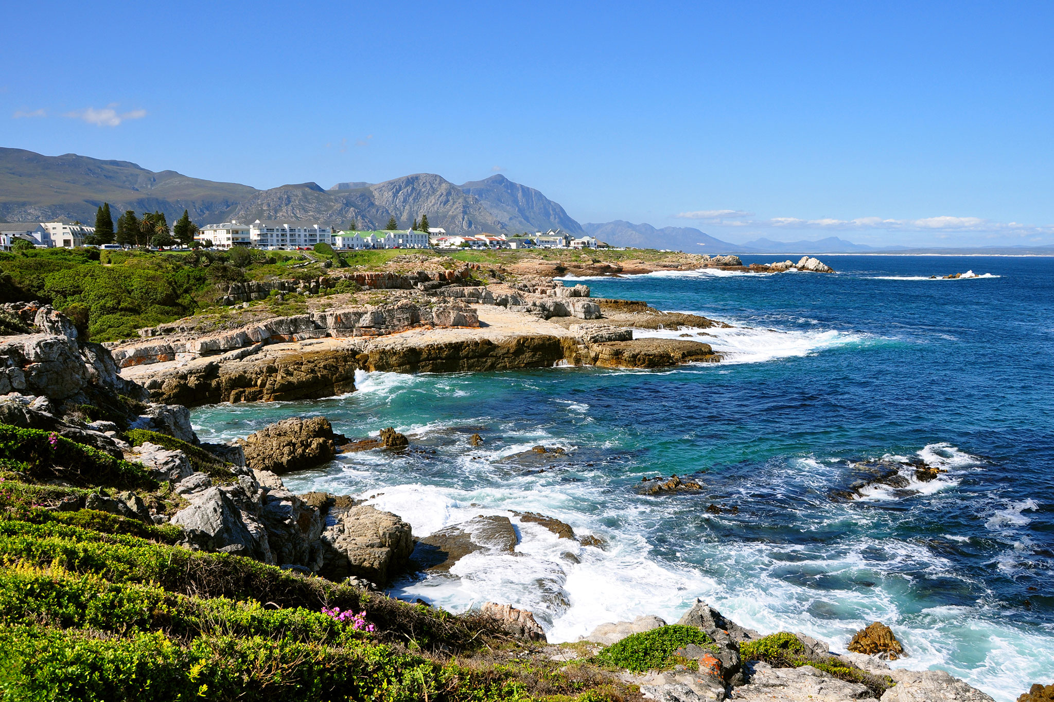 Hermanus town