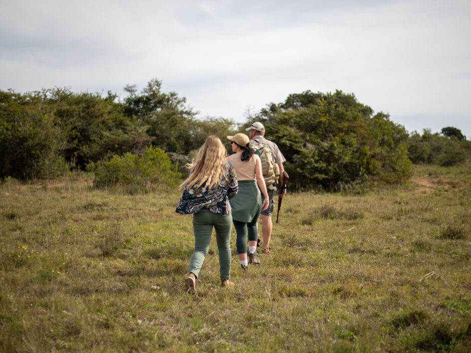 Buschwanderung im Amakhala Game Reserve auf einer Safari an der Garden Route