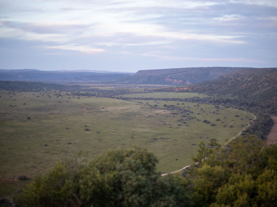 Wunderschöner Ausblick im Amakhala Game Reserve