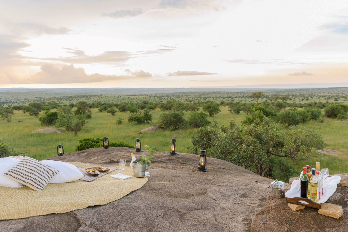 Simba Rock elevated overlooking the vast plains