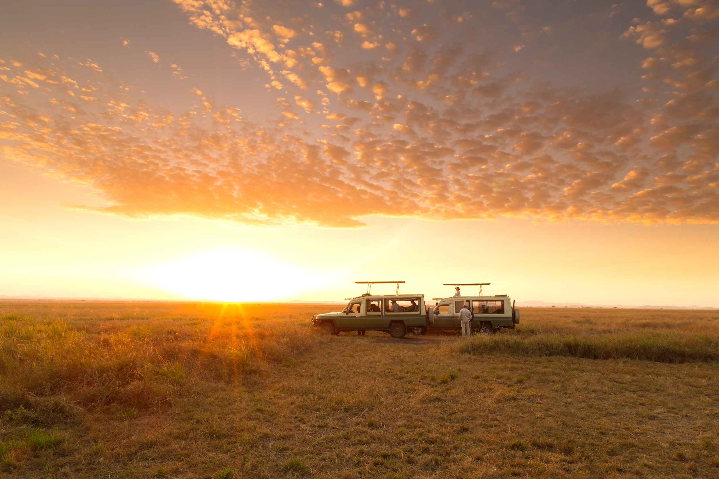 La acción nunca cesa en un safari de los 5 Grandes en el Serengeti