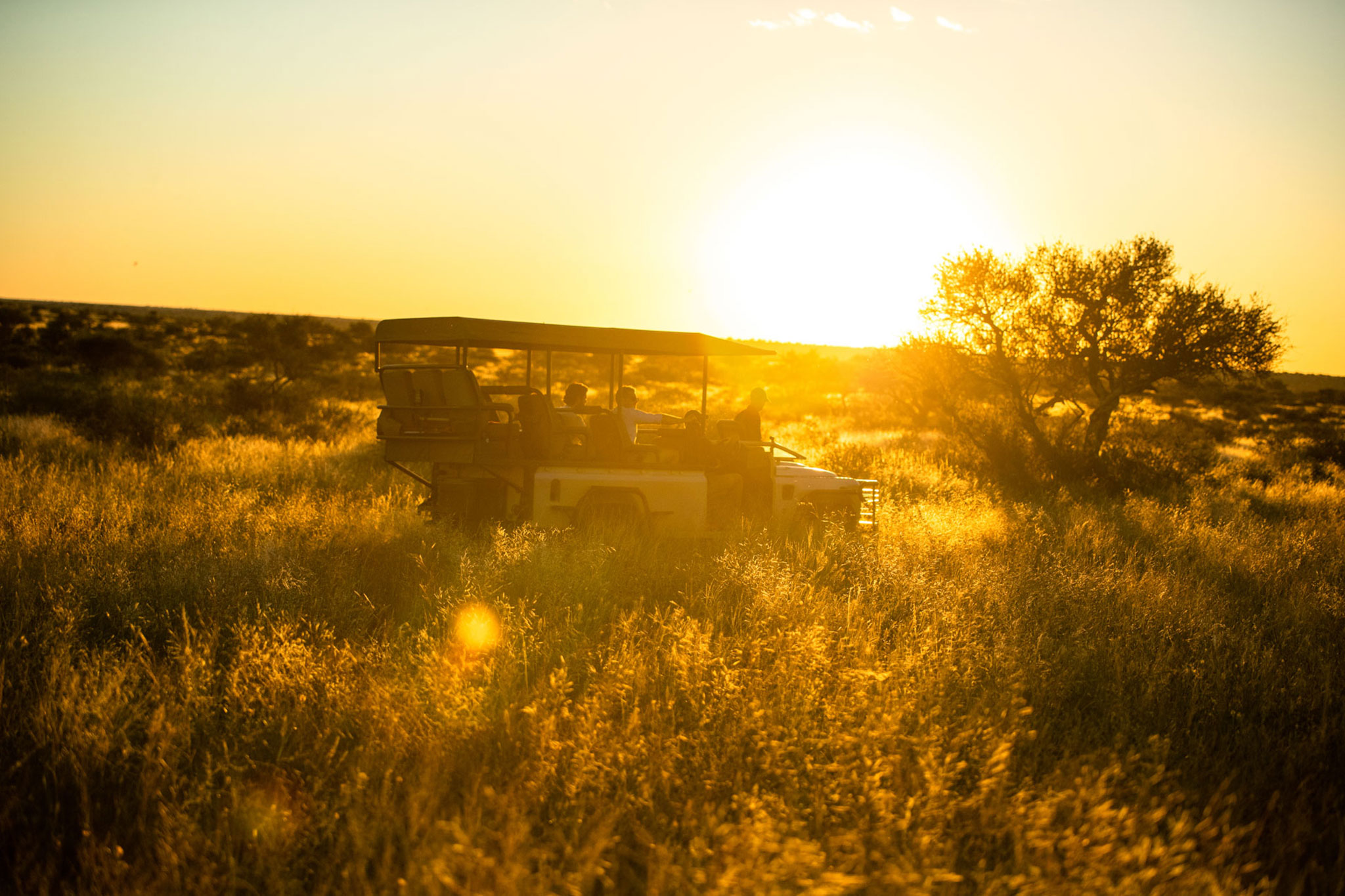 Sunset on safari at Tswalu Private Game Reserve