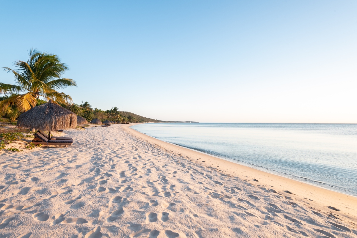 White sandy beach fringed with palm trees